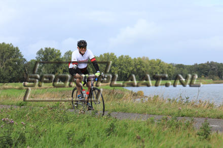 YZ11342.jpg